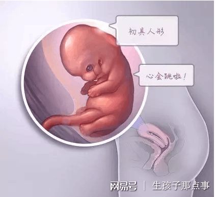 关于找卵代生男孩机构